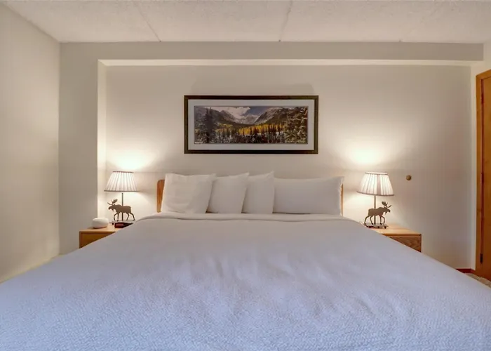 Vs453 Village Square Dog-friendly With Balcony Copper Mountain